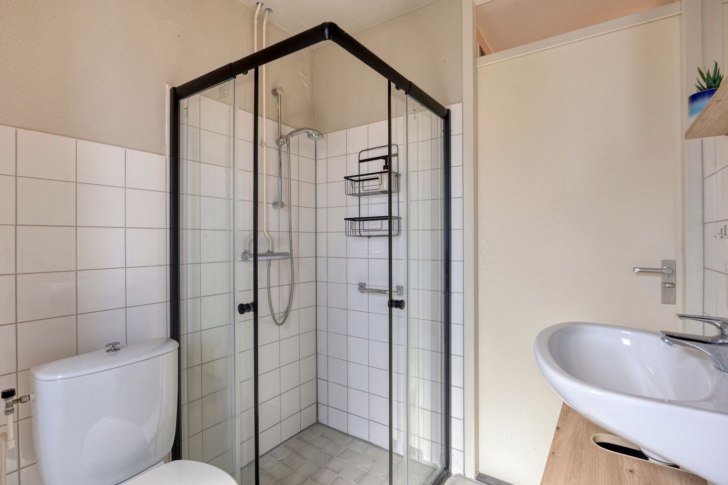 Photo 19 of Steenhouwer 2