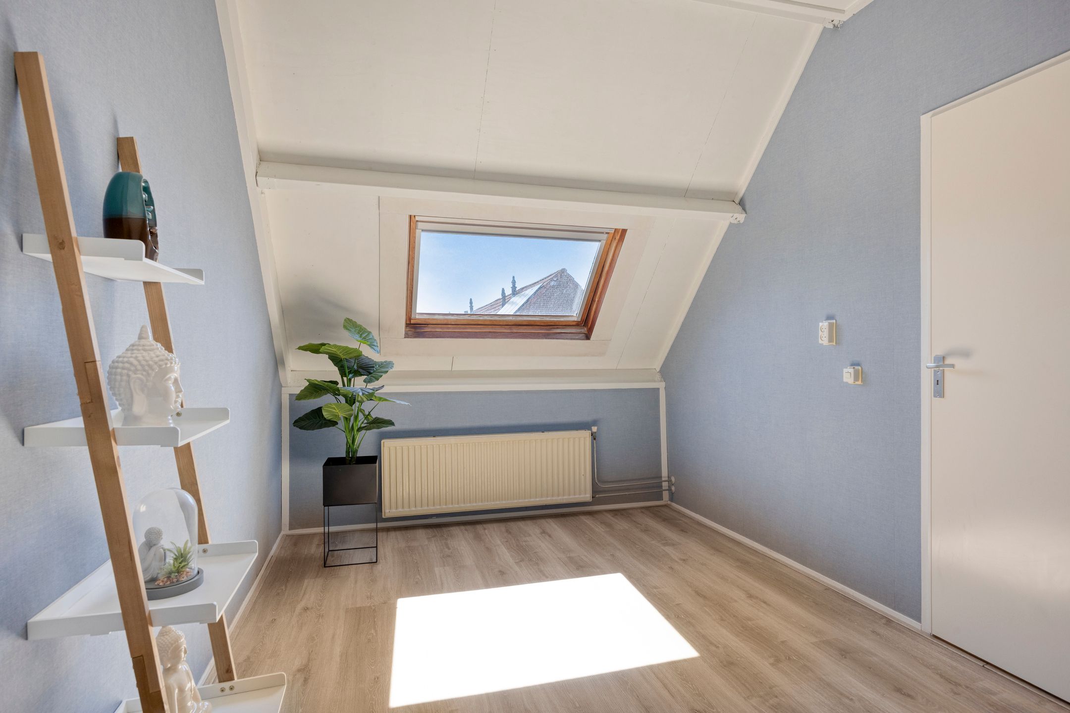 Photo 21 of Steenhouwer 2