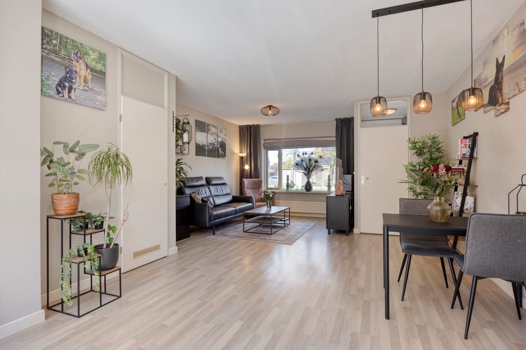 Photo 8 of Steenhouwer 2