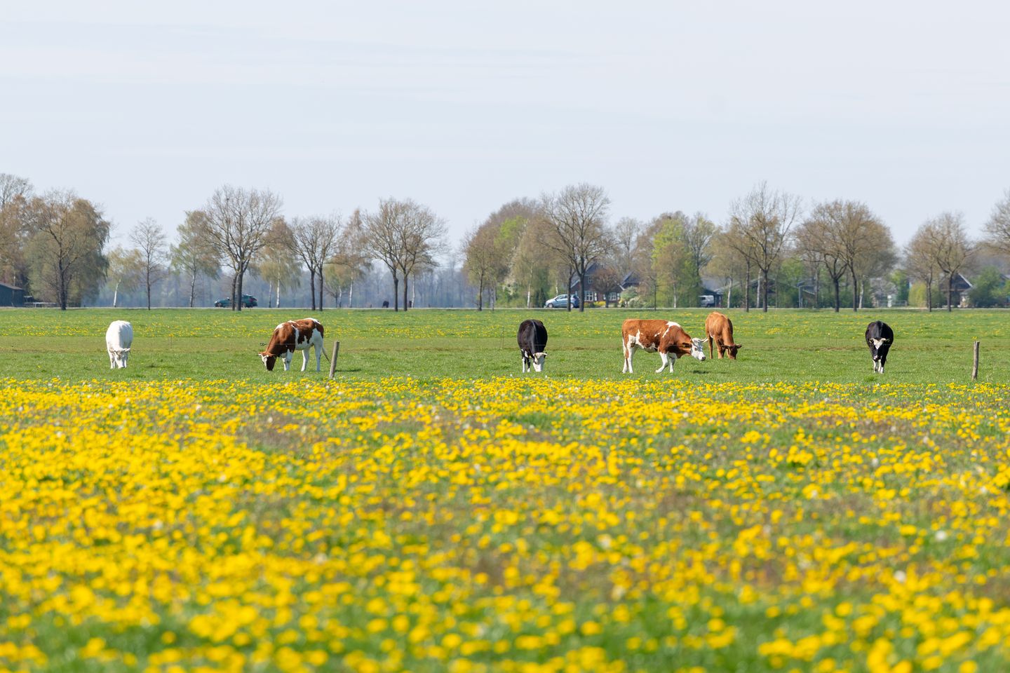 Foto 5 van Migaweg 10