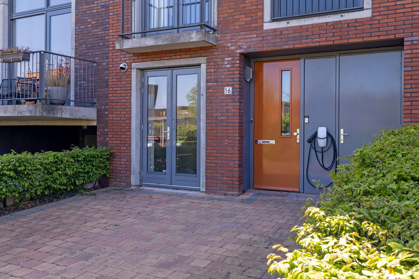 Foto 5 van Friendshipring 16