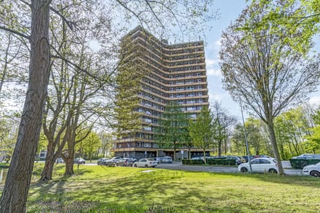Thorbeckestraat thumbnail