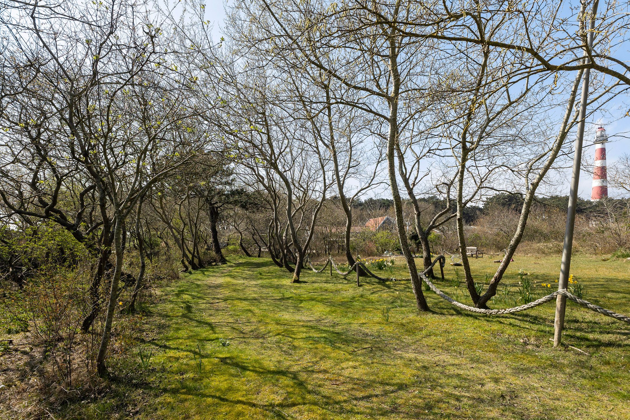 Photo 21 of Oranjeweg 42-A
