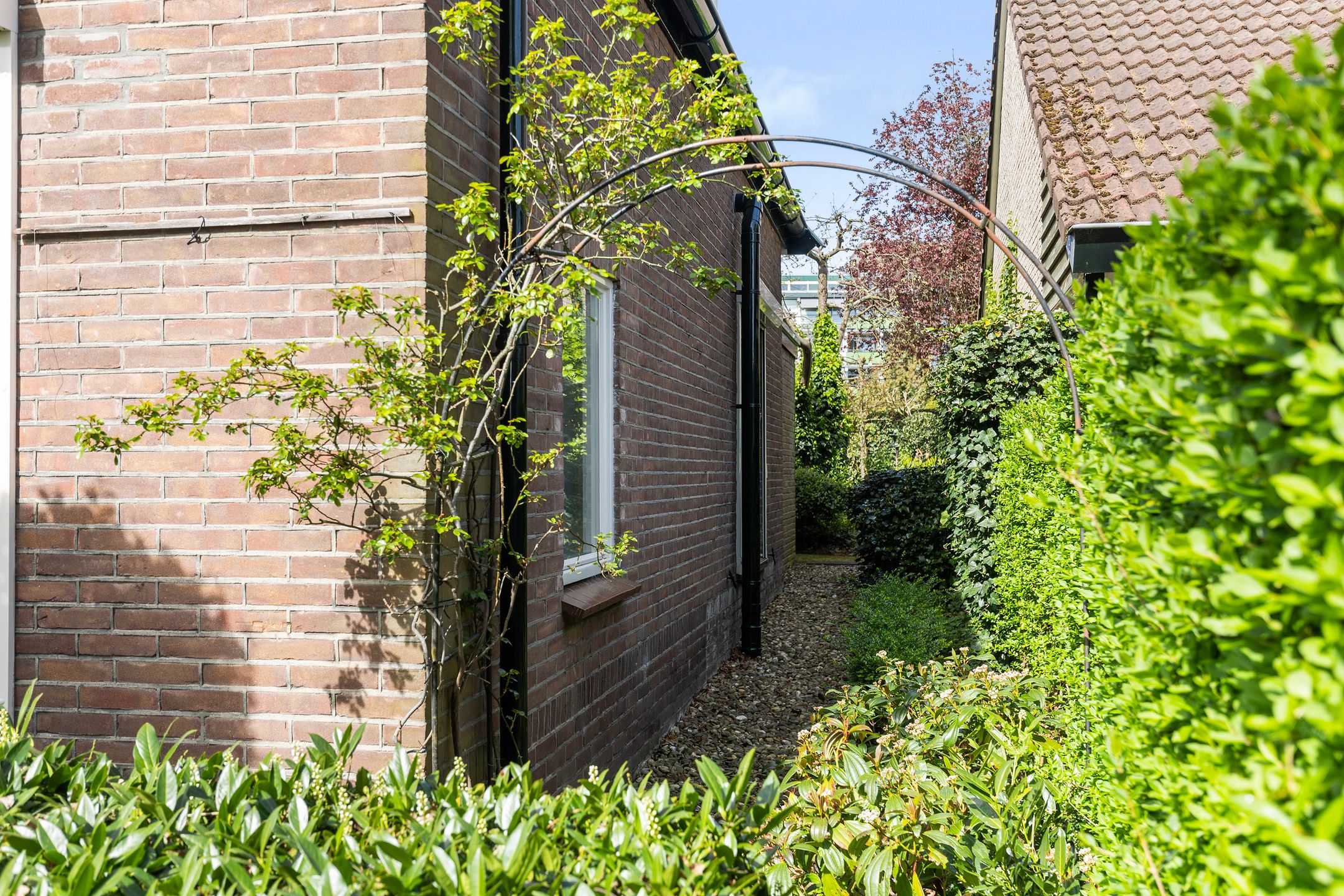 Photo 48 of Schuttersweg 38