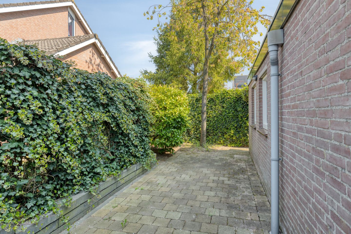 Photo 40 of Nassaustraat 36
