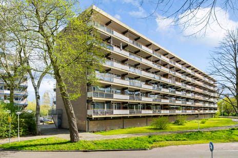 Dunantstraat thumbnail