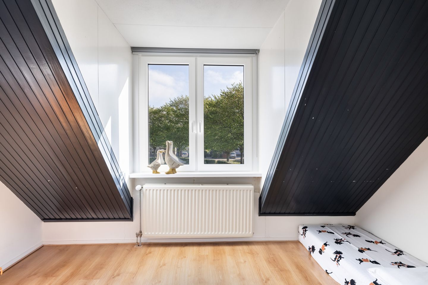 Foto 19 van Fazantpad 29