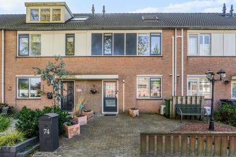 Groen-blauwlaan thumbnail