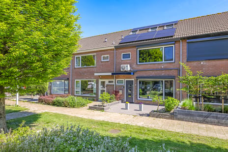 Zonnekruidstraat thumbnail