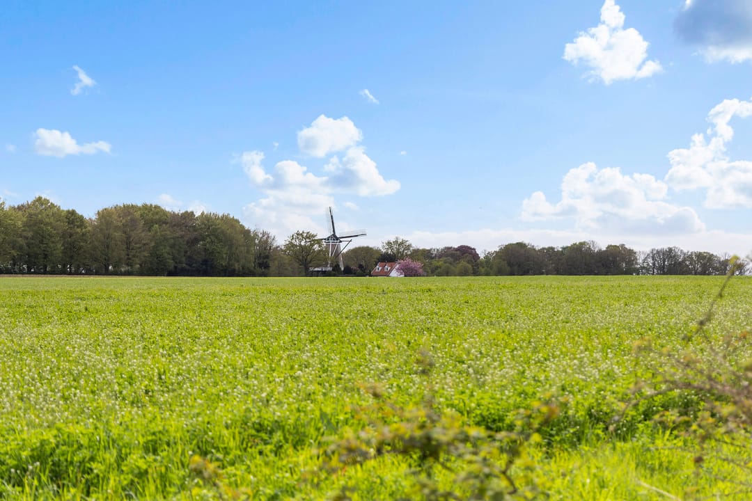 Semi-Detached Home with Panoramic Views of Protected Nature Reserve — 53