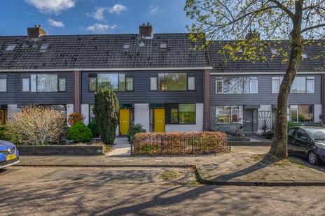 Rijnstraat thumbnail