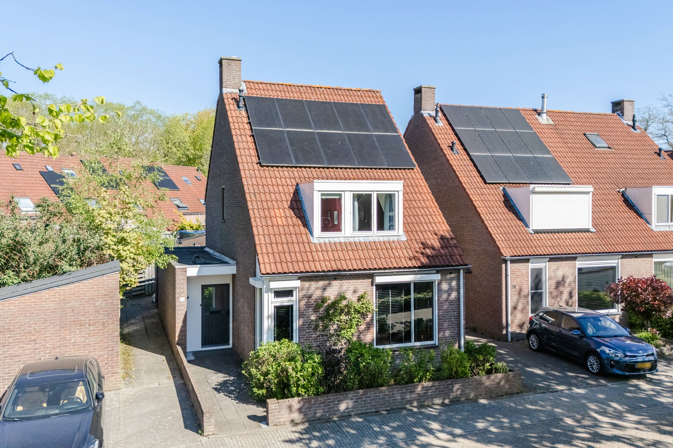 Boekweit 22 