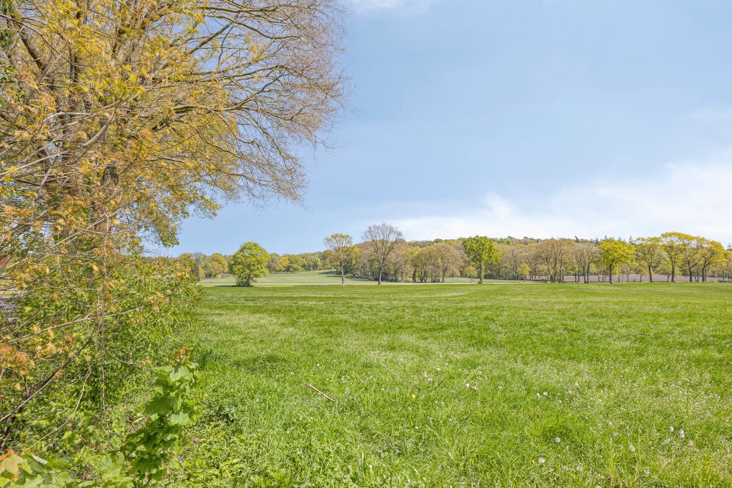 Photo 80 of Brinkerinkweg 4-A
