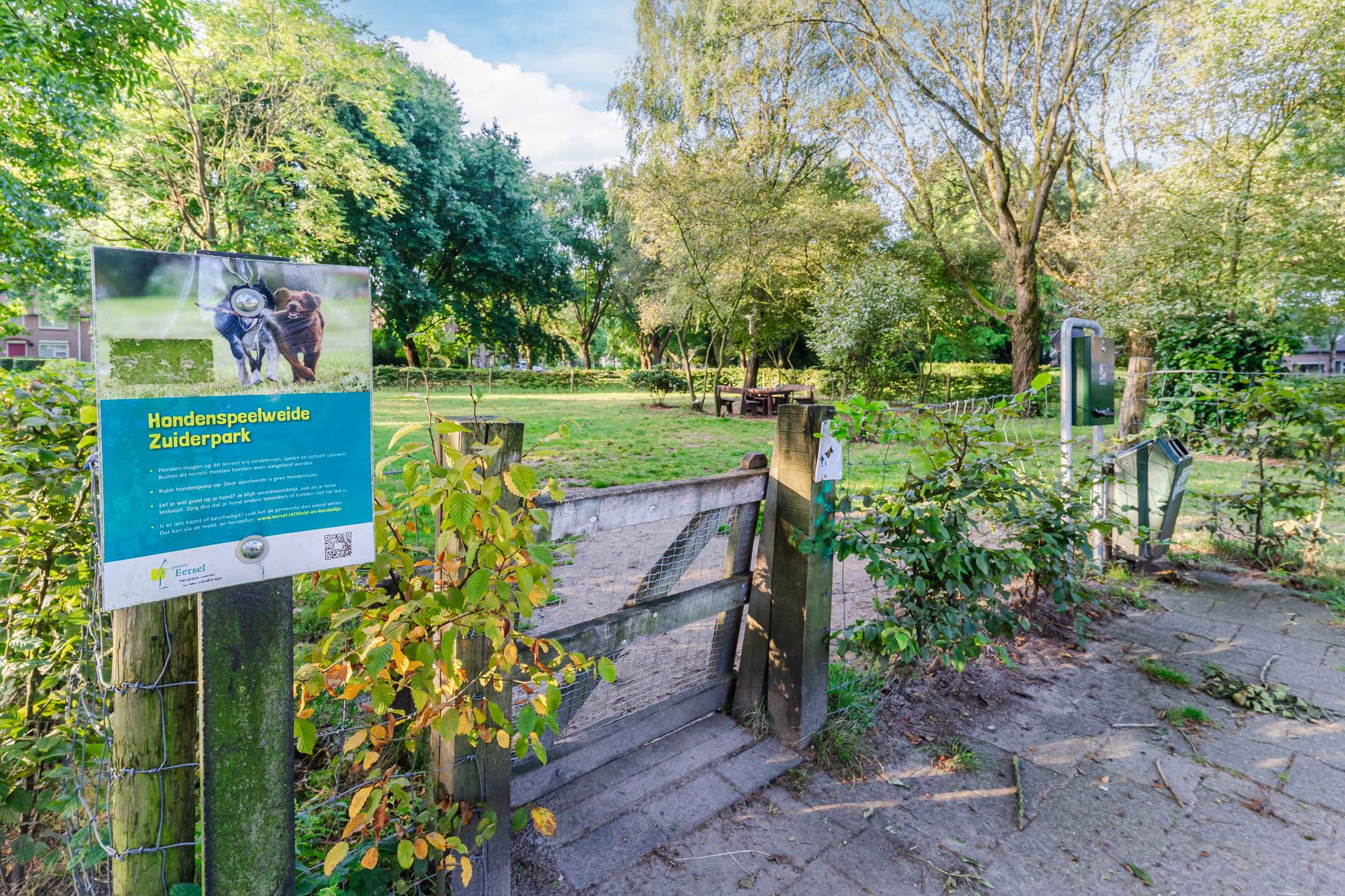 Photo 51 of Boekweit 22