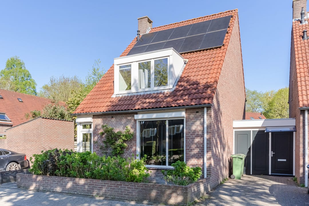Photo 46 of Boekweit 22