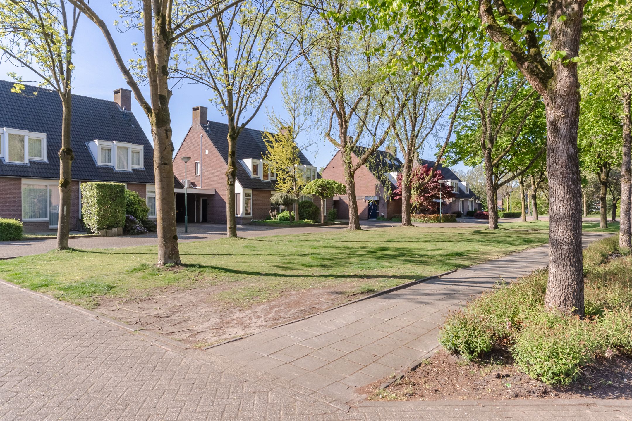 Photo 48 of Boekweit 22