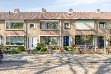 Schelpstraat thumbnail