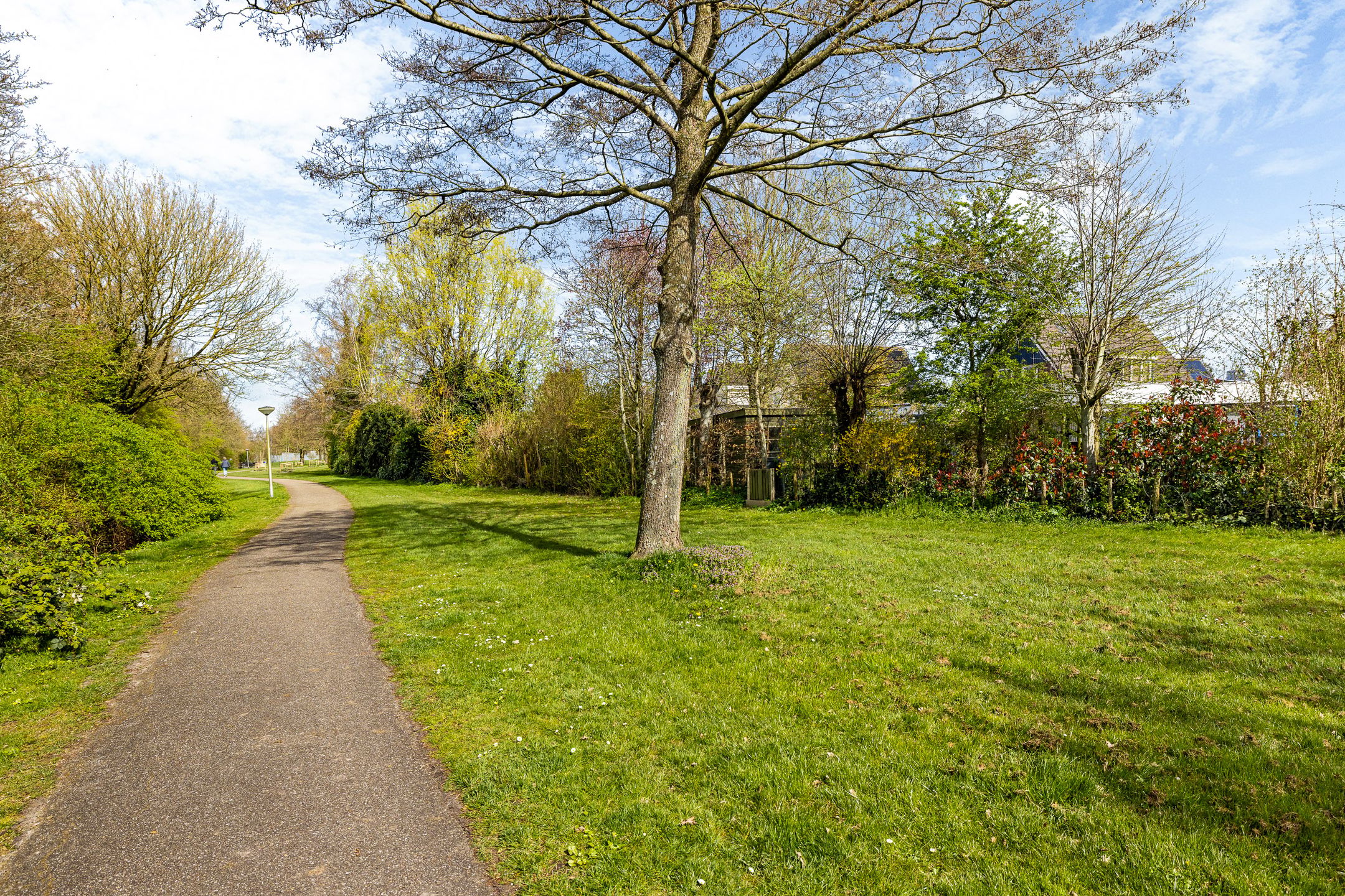 Photo 66 of Ried 24