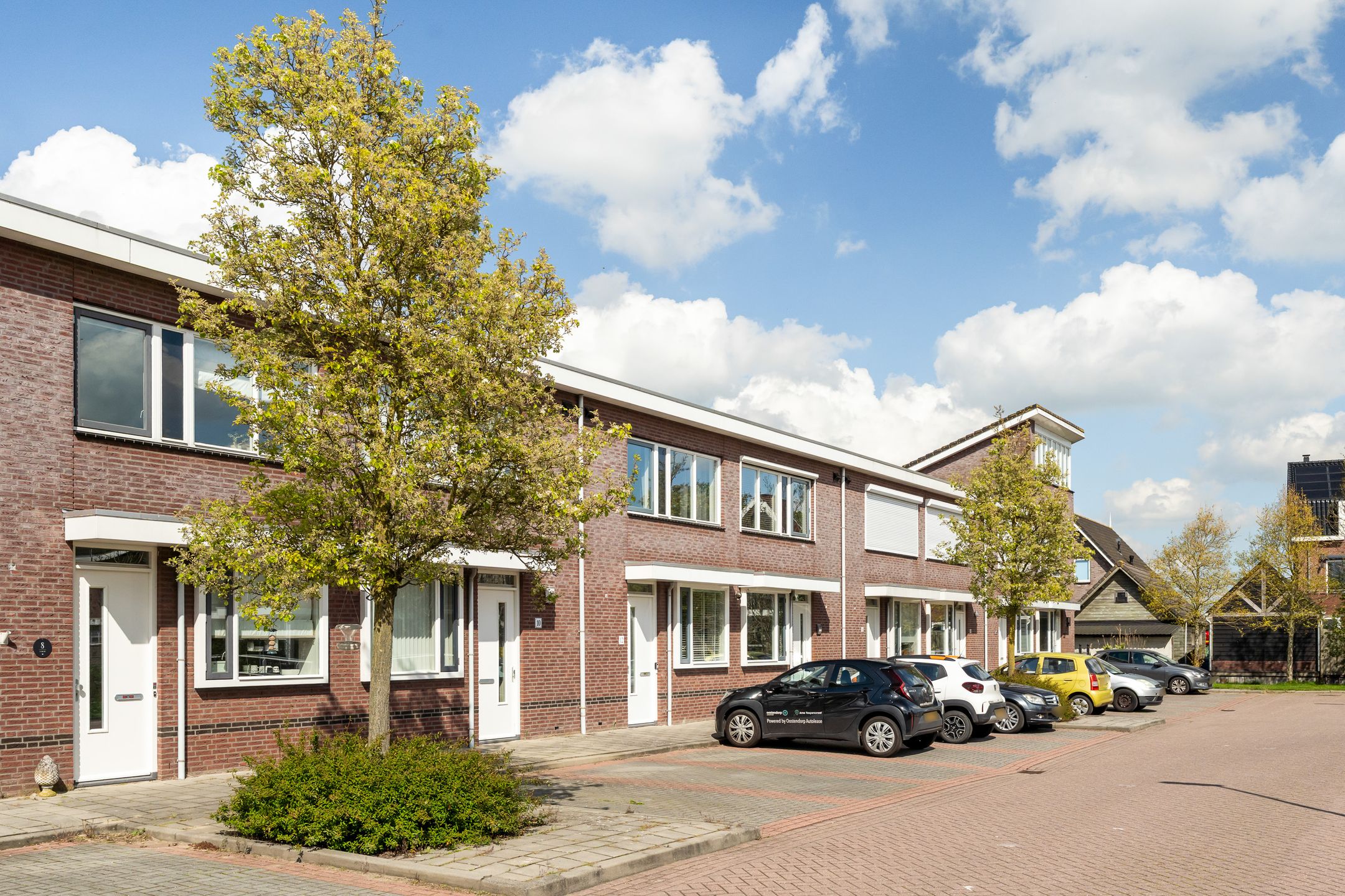 Foto 6 van Witte Kwikstaart 8