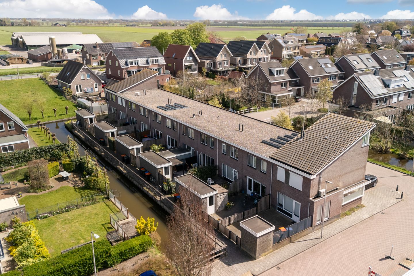Foto 4 van Witte Kwikstaart 8