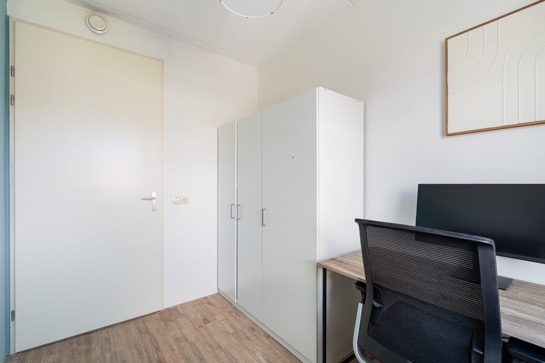 Foto 43 van Witte Kwikstaart 8