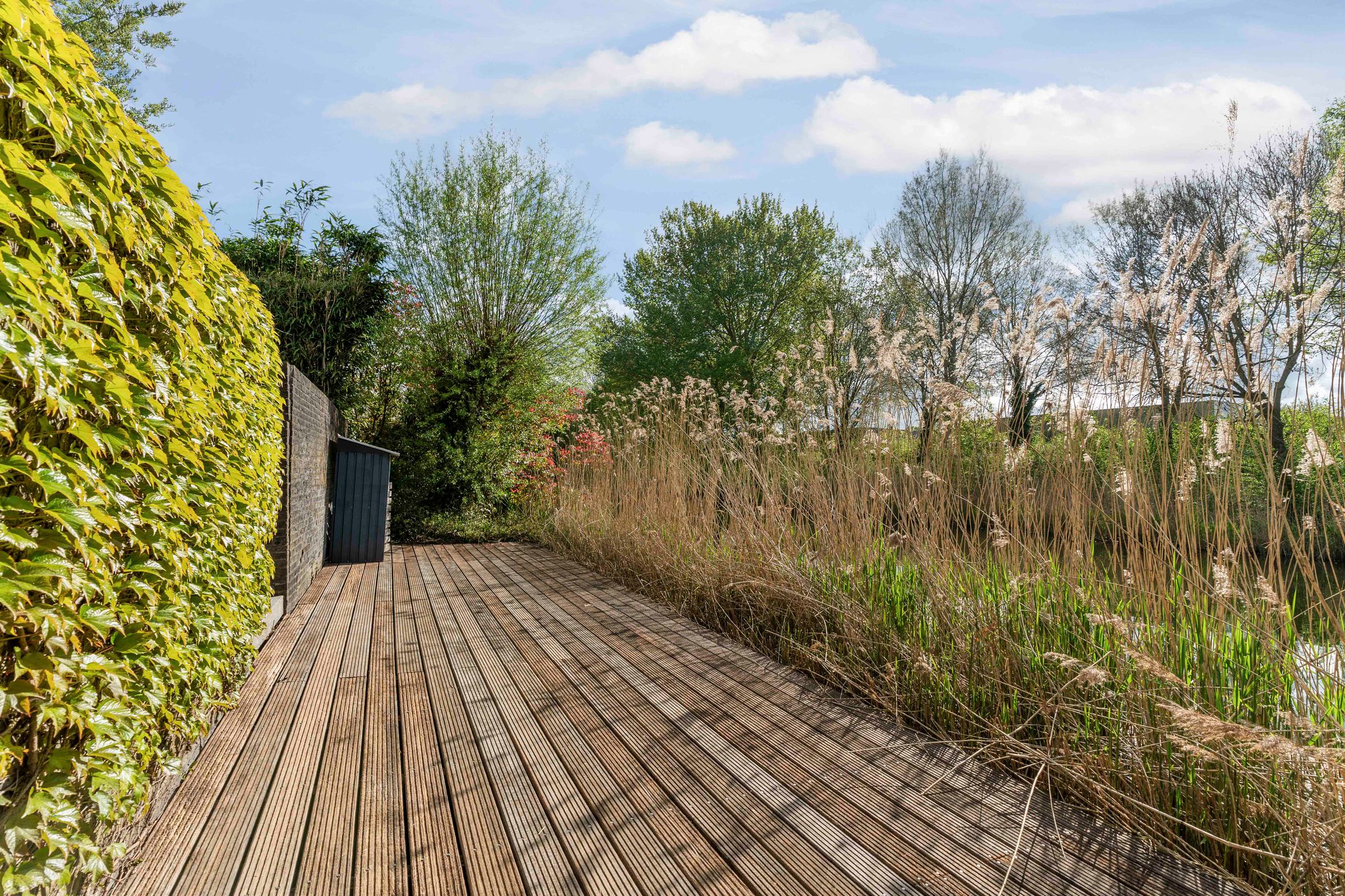 Photo 72 of Cissy van Marxveldtstraat 65