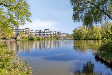 Henry Moorepassage thumbnail