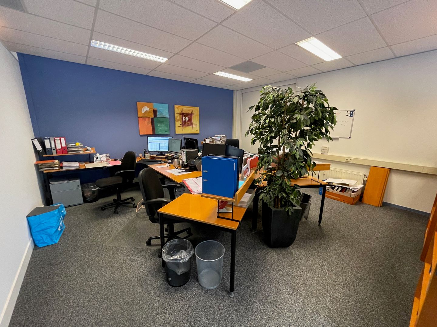 Bekijk foto 5 van Weidehek 8-E