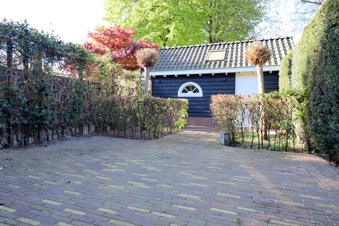 Foto 16 van Zwanebloem 15