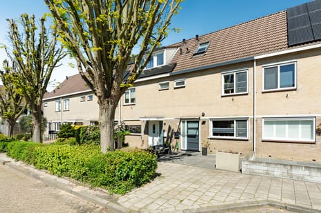 Zichtweide thumbnail