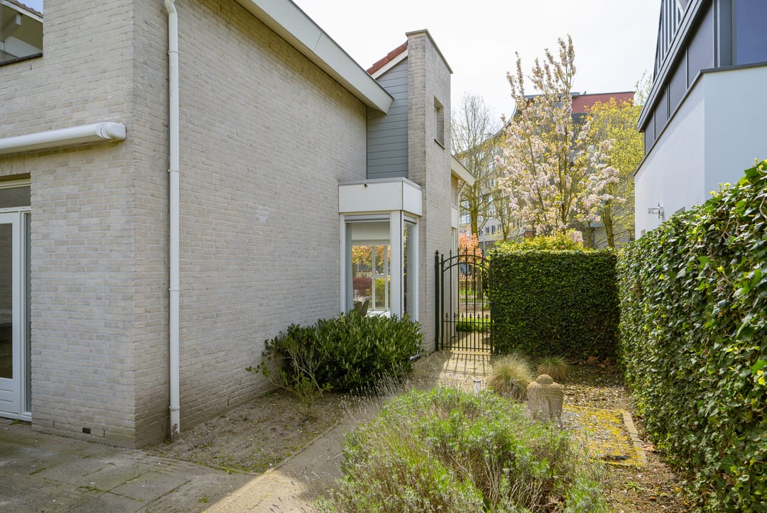 Foto 43 van Weerschijnvlinder 6