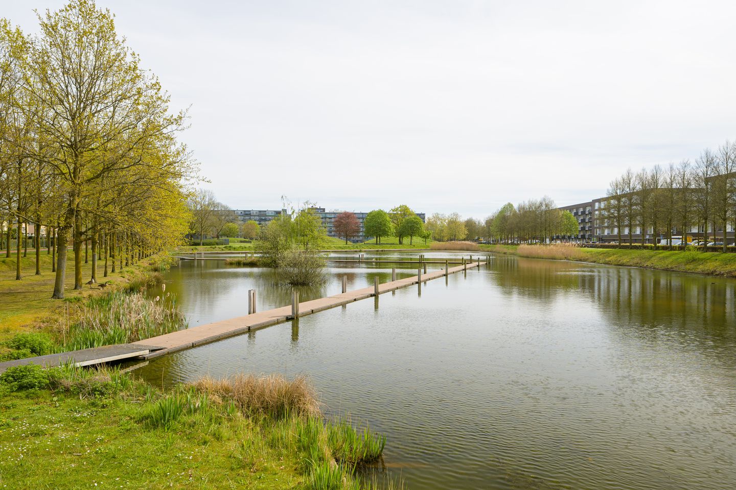 Foto 50 van Weerschijnvlinder 6