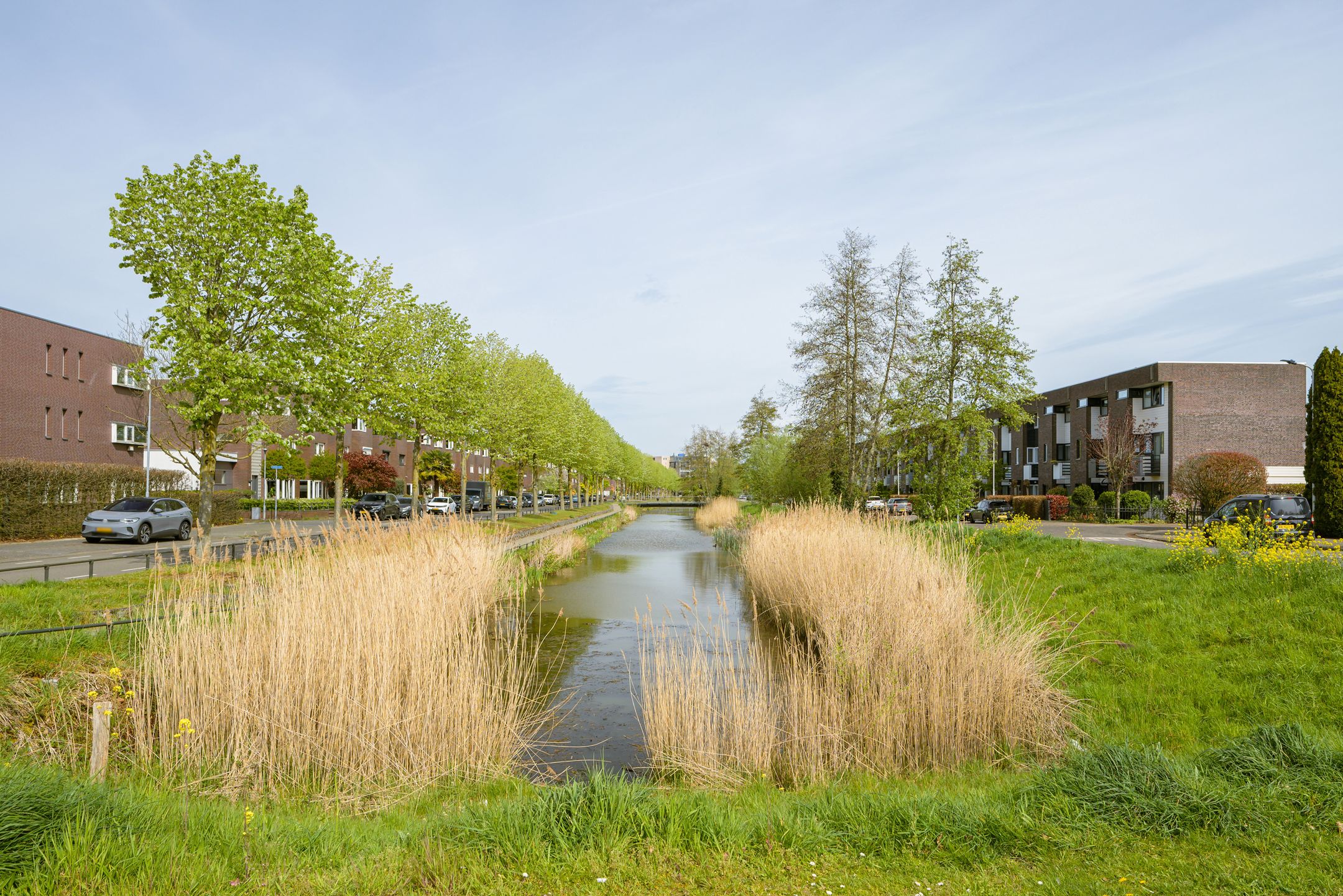 Foto 51 van Weerschijnvlinder 6