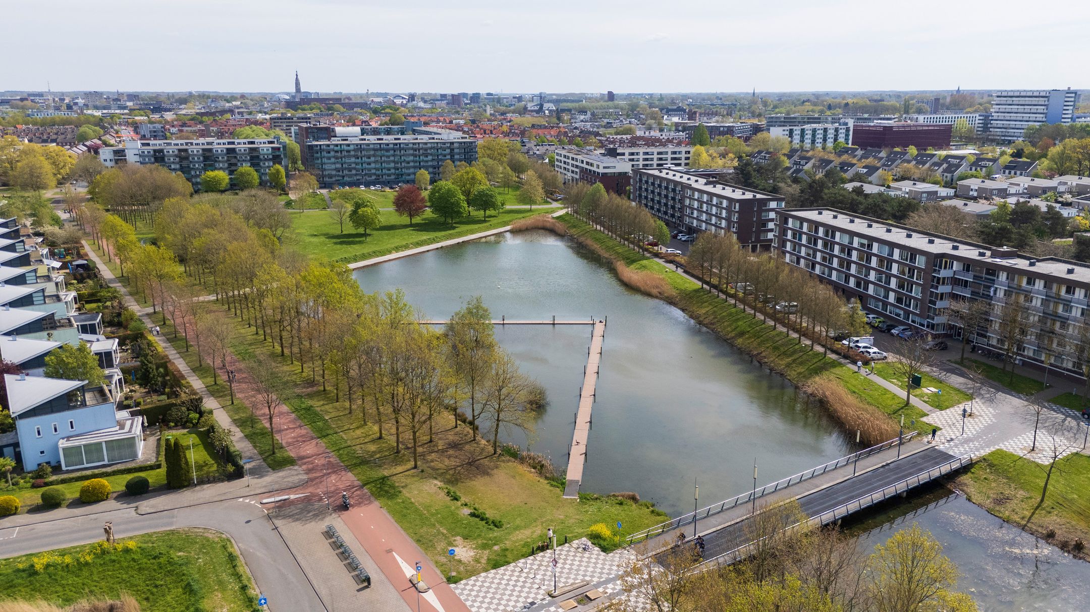 Foto 48 van Weerschijnvlinder 6