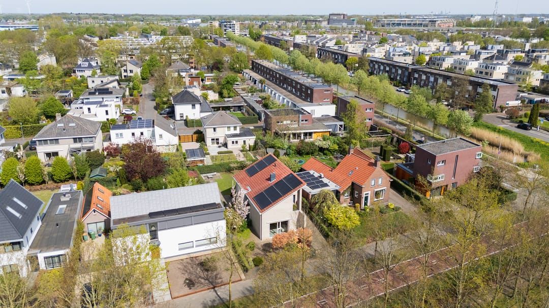 Foto 46 van Weerschijnvlinder 6