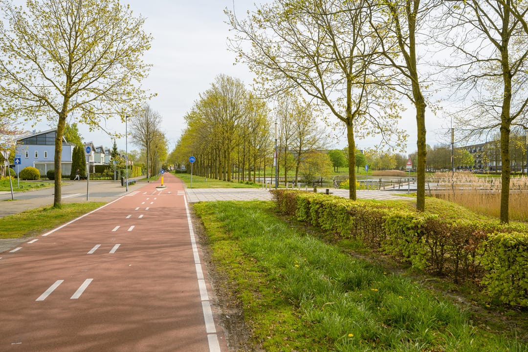 Foto 47 van Weerschijnvlinder 6