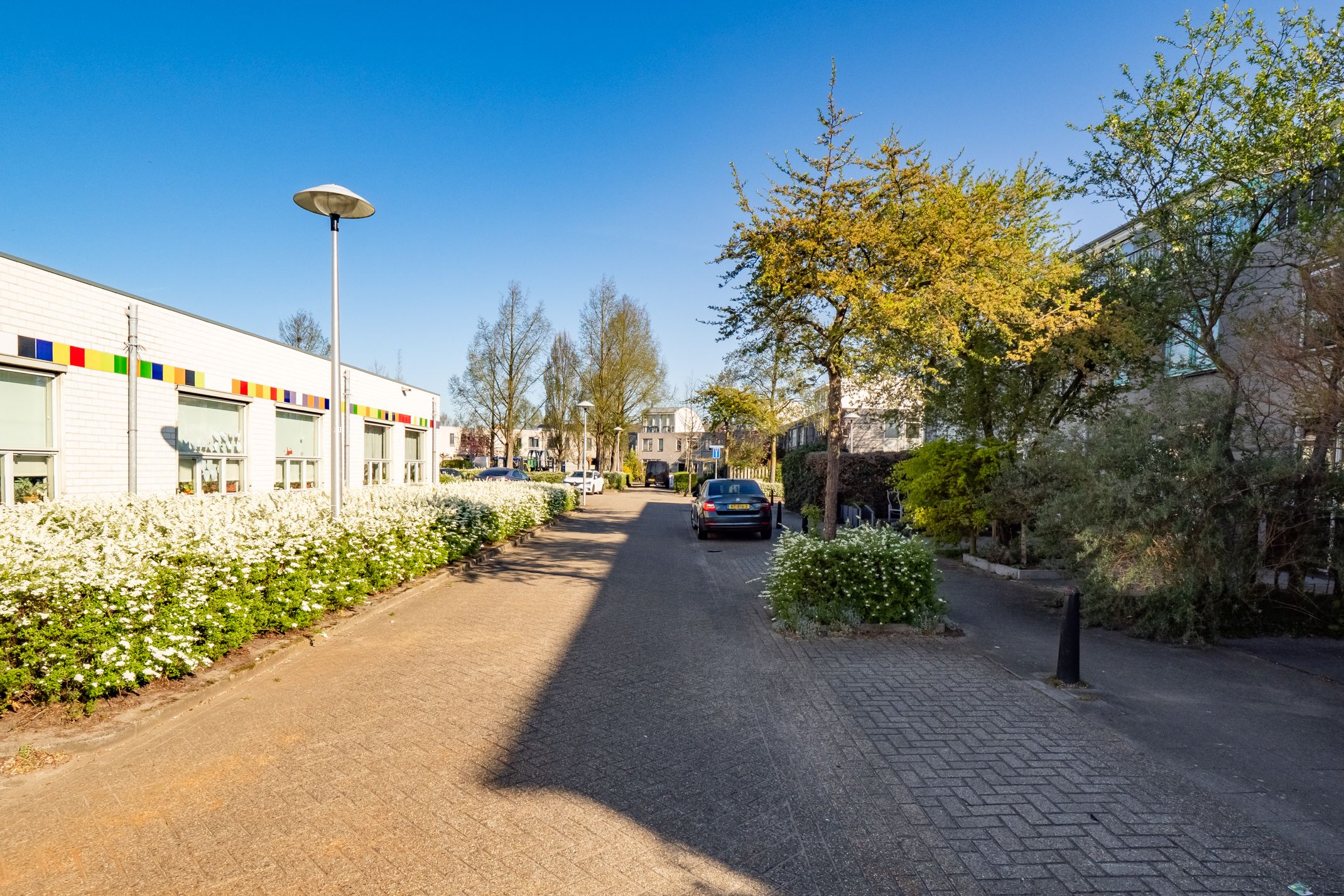 Photo 51 of Steve Bikostraat 366