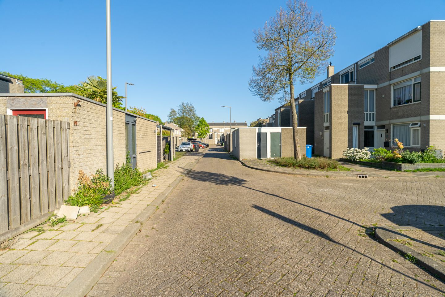 Foto 4 van Hoge Weije 62