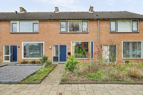 Roompotstraat thumbnail