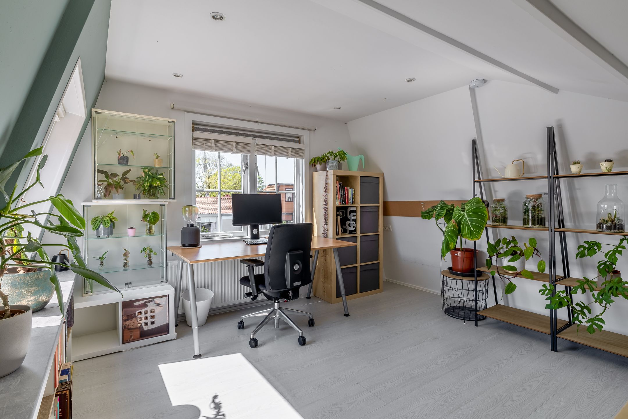 Photo 36 of Alexanderstraat 9