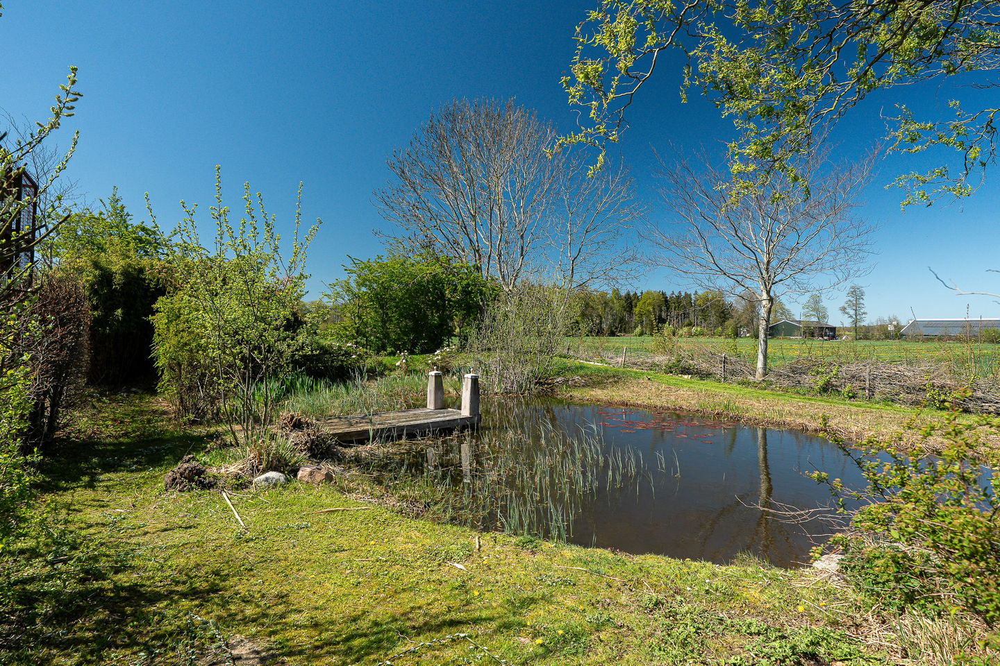 Photo 35 of Heerenveenseweg 3-B