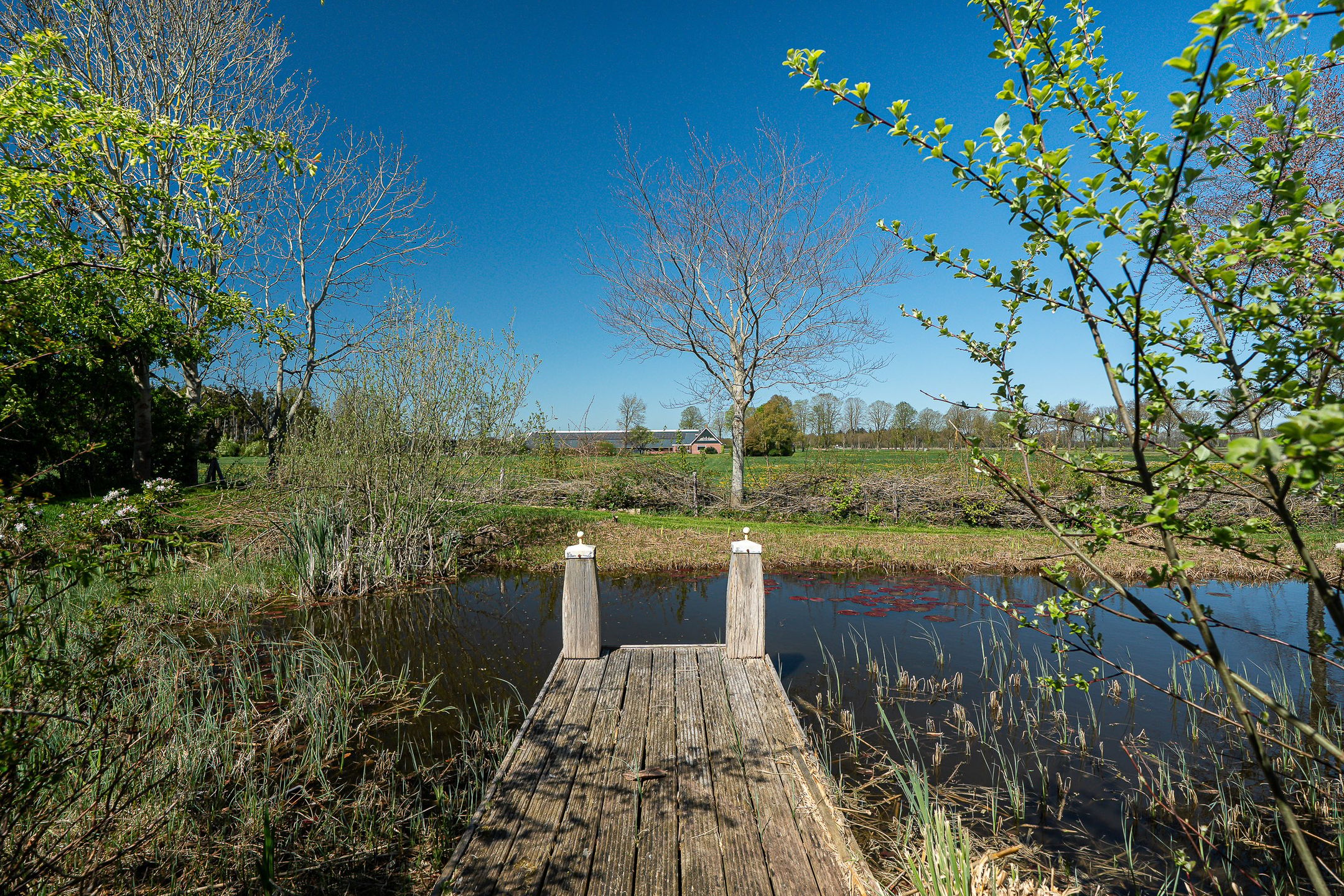 Photo 36 of Heerenveenseweg 3-B