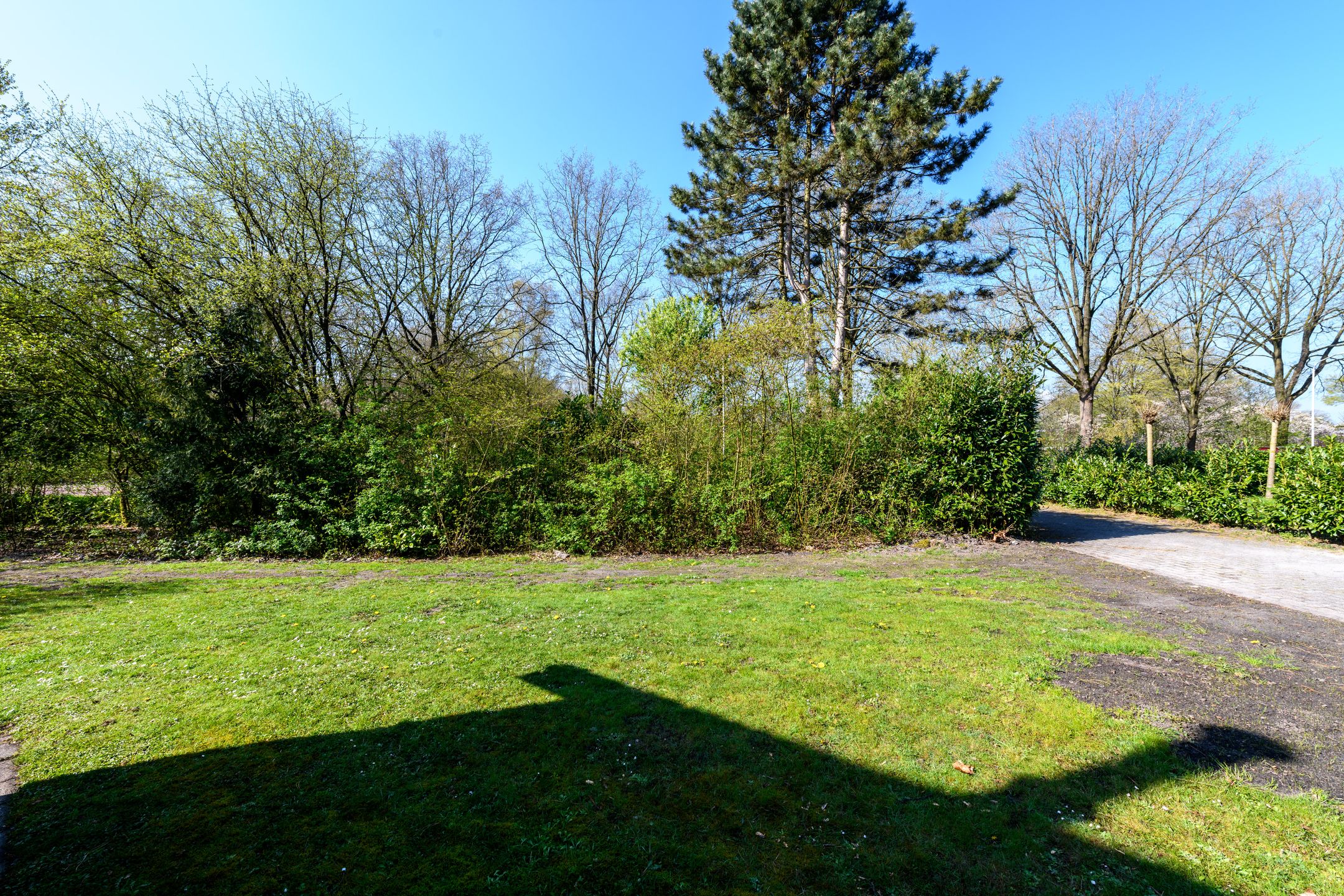 Photo 27 of Het Bosmeer 58