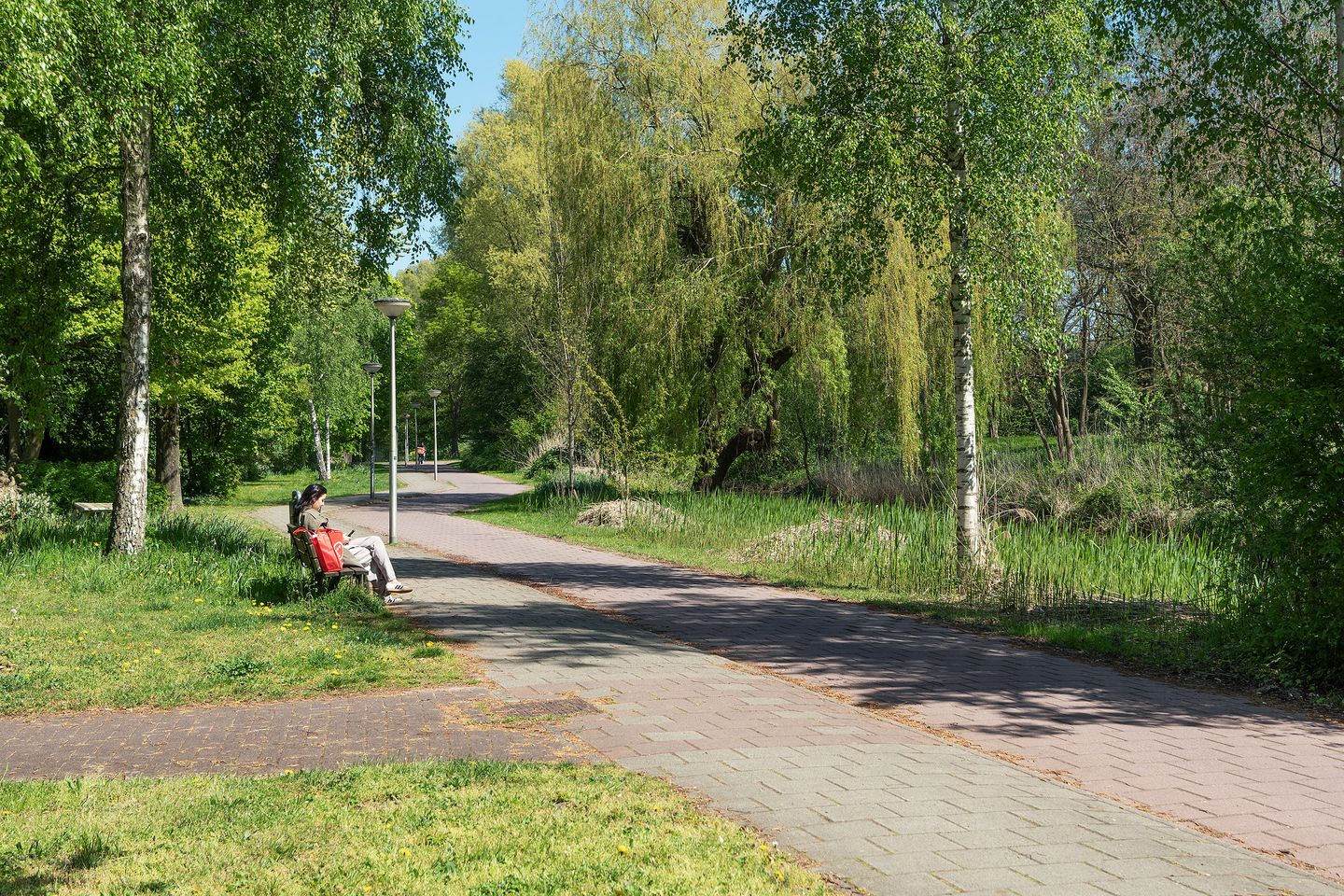 Photo 25 of Griend 35