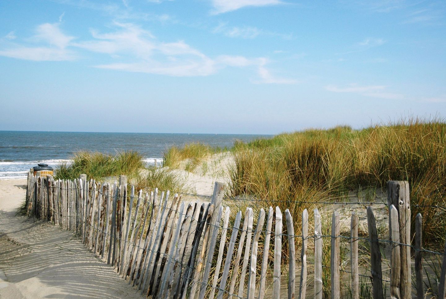 Foto 35 van Tholensestraat 43