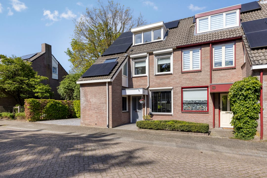 Photo 7 of Wit Hollandven 62