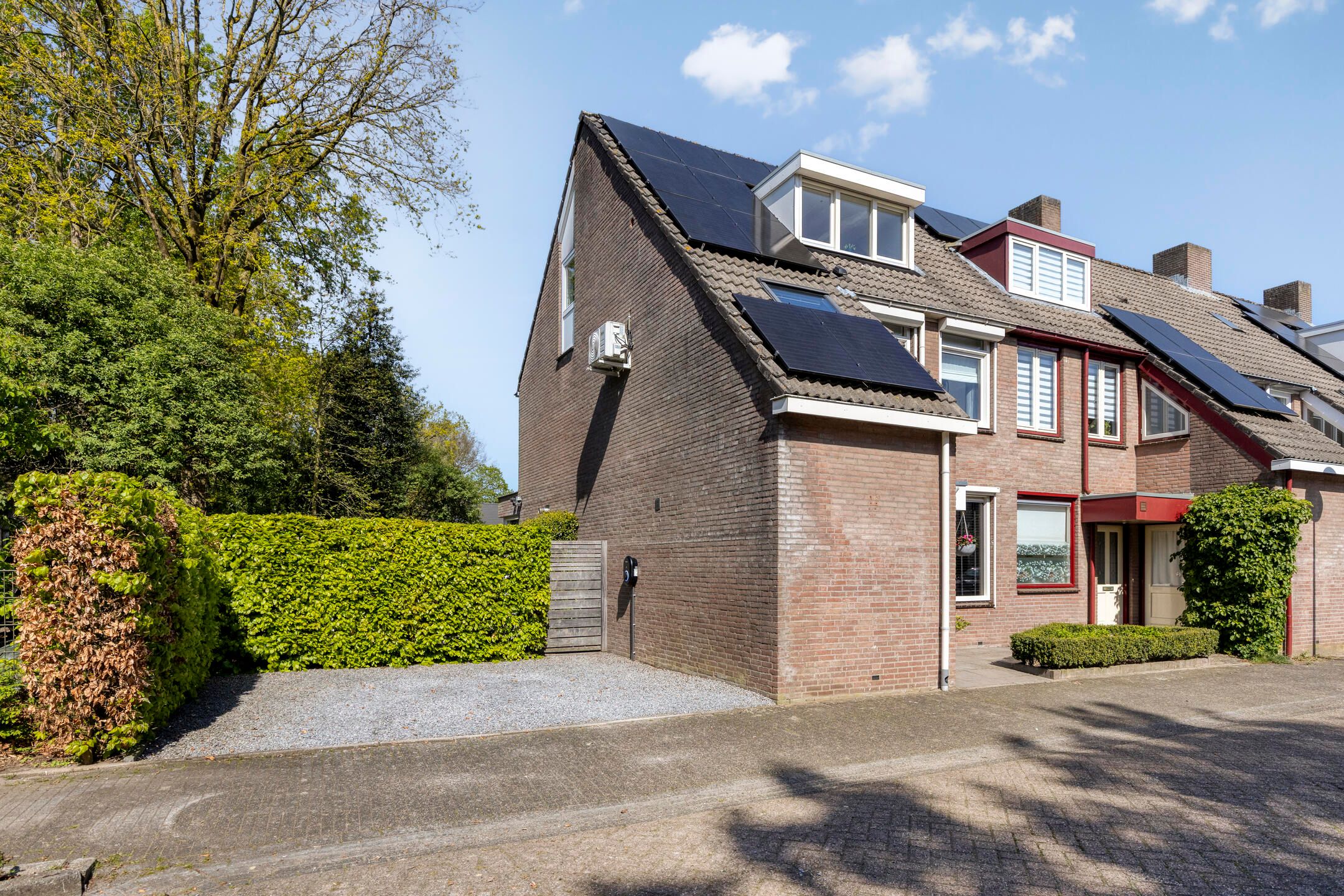 Photo 6 of Wit Hollandven 62