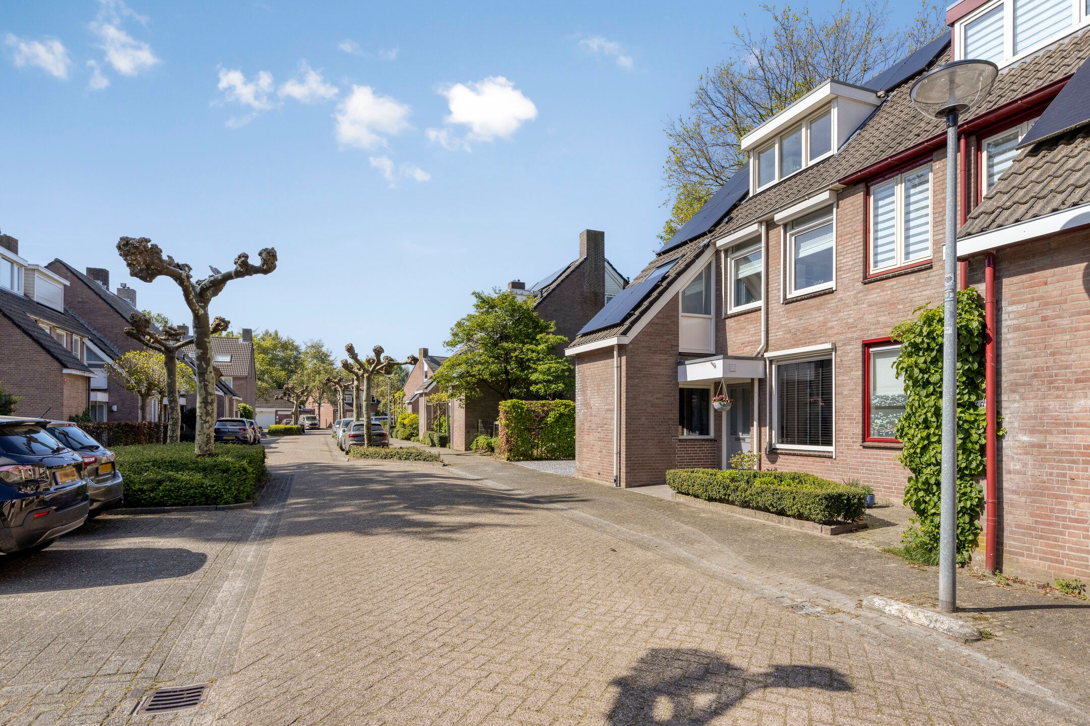 Photo 42 of Wit Hollandven 62