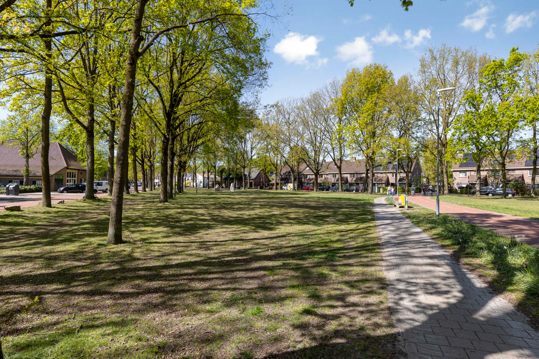 Photo 43 of Wit Hollandven 62