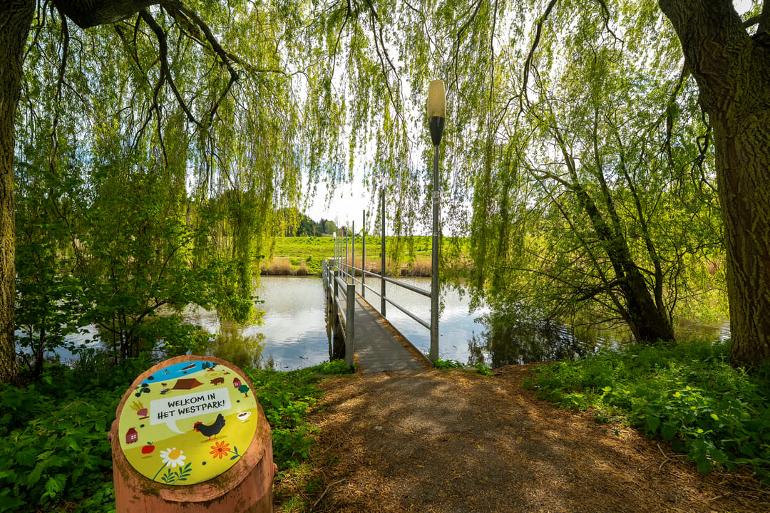 Photo 61 of Het Roege Bos 33